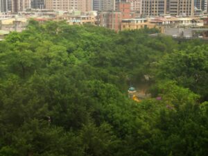 Photo Garden oasis