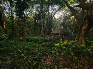 Photo Garden gazebo
