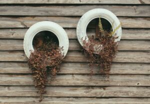Photo Vertical garden