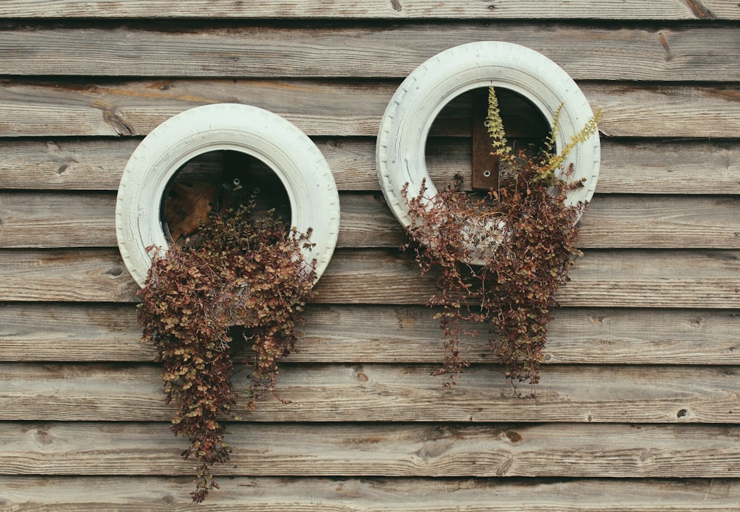 Photo Vertical garden