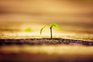 Photo "Quotes about renewal and how to rebuild your life after each difficult period"