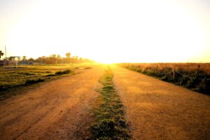 Photo "Quotes about trust in destiny and how to follow your path"