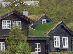 Photo "How to promote your green and sustainable home"