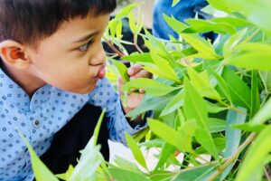 Photo "Why is it important to start ecological education in schools?"