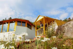 Photo "How to promote your home as an example of sustainability for others"