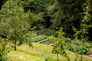 Photo "How to build an organic garden to support biodiversity"