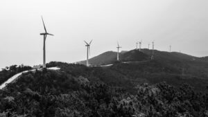 Photo "Why is it important to support renewable energies and how can we contribute to the ecological transition?"
