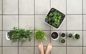 Photo "How to transform your home into a completely sustainable place"