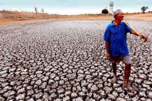 Photo "How to understand the impact of climate change and what you can do to help stop it"