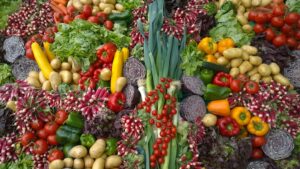 Photo "How to adopt a plant-based diet to reduce environmental impact"