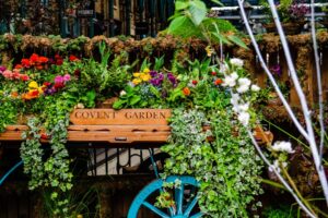Photo "How to create your own urban garden and contribute to protecting the planet"