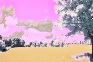 Photo dream interpretation