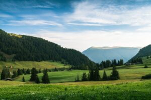 Photo drăguț-o