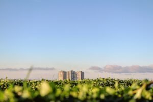 Photo sustainable development