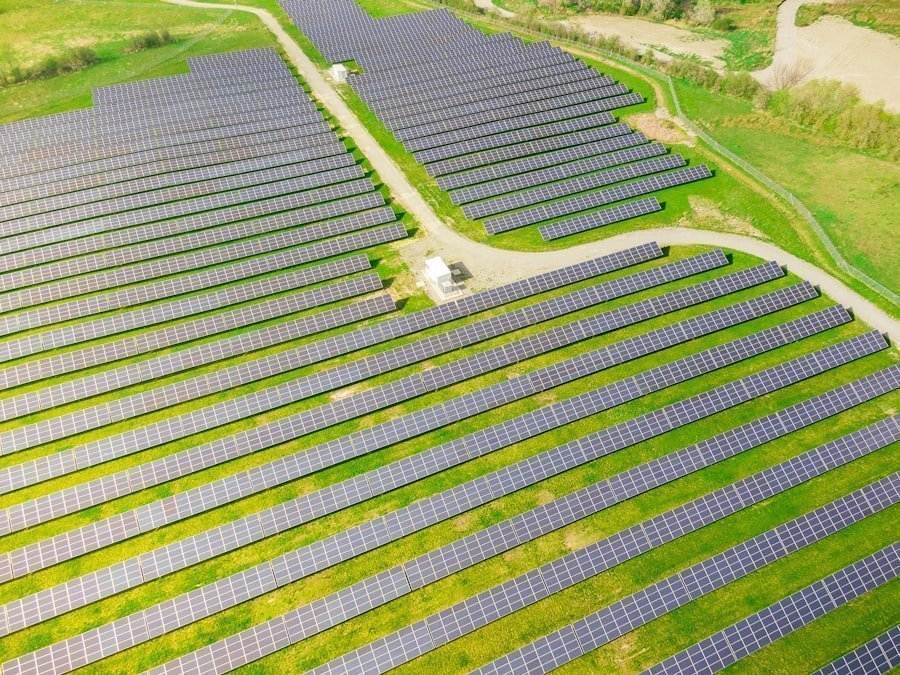 Photo sustainable development