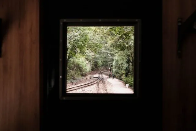 Fereastra unui tren cu priveliște de toamnă, dealuri aurii și păduri în ceață