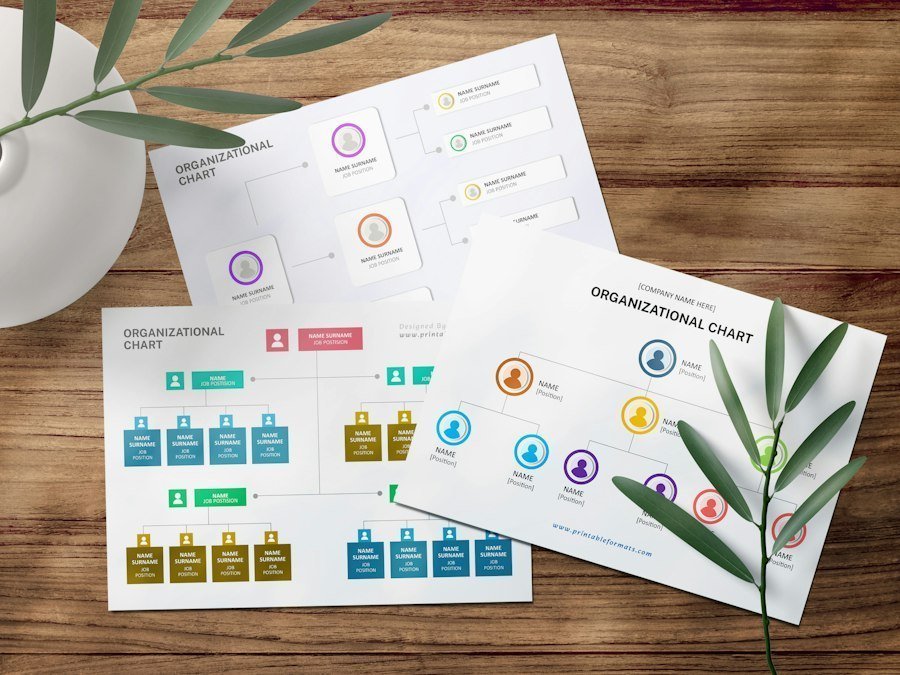 education concept infographic