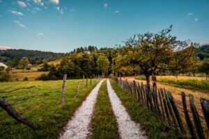 Photo organic farming Romania future analysis