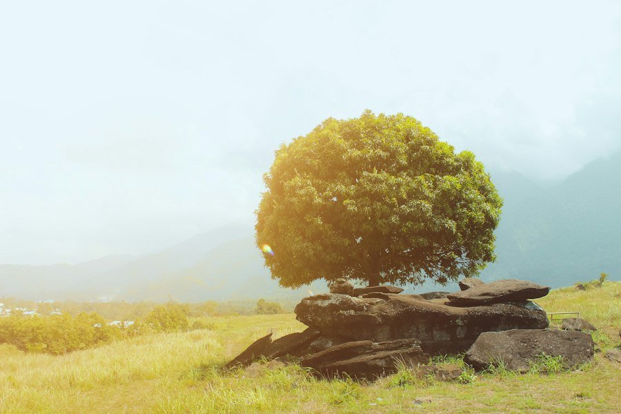environment knowledge guide