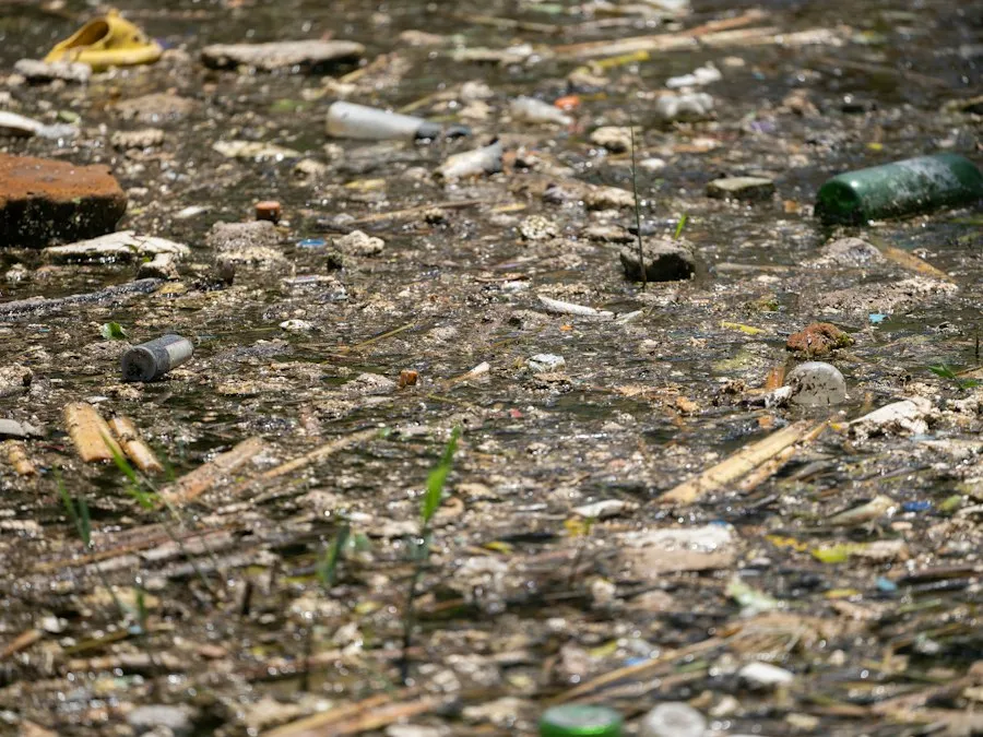 Photo common environmental mistakes
